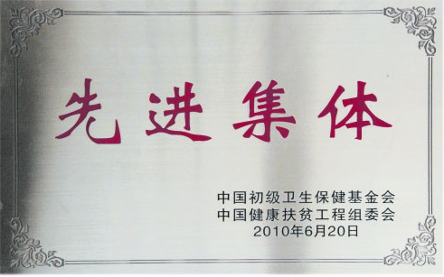 2010先進(jìn)集體