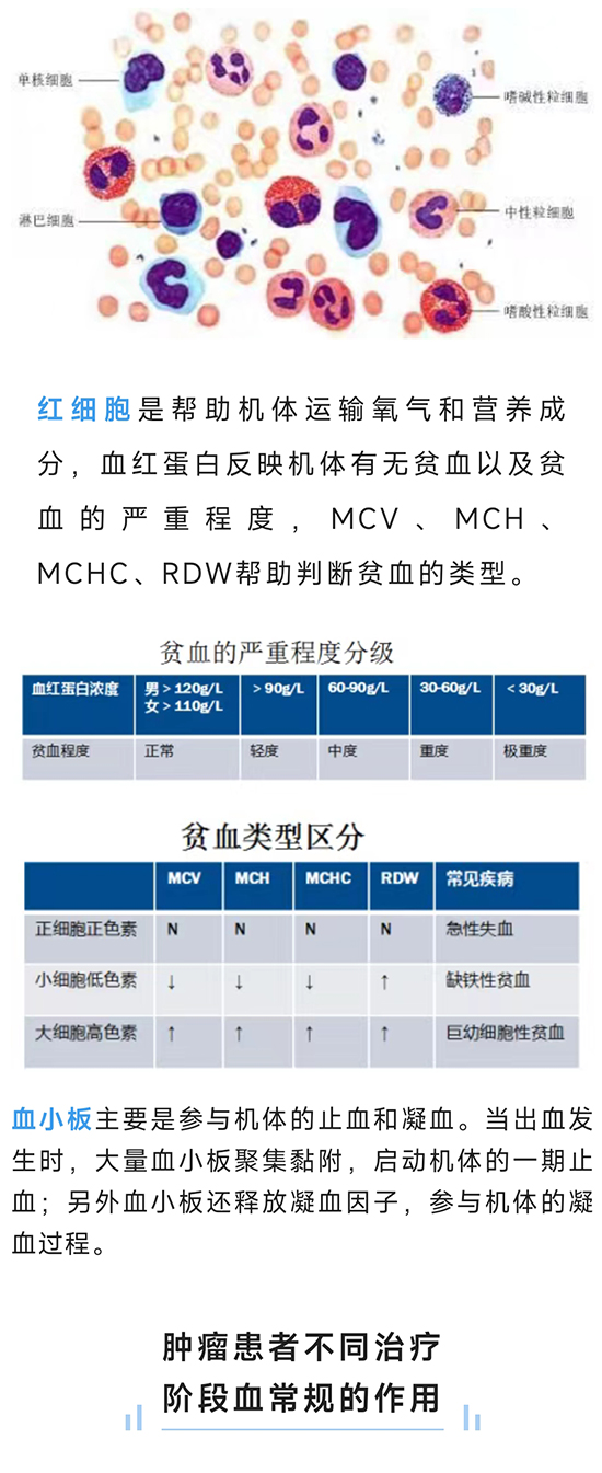 微信圖片_20220510105702_02